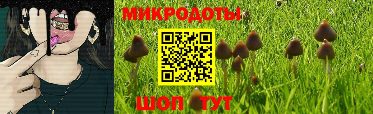 Псилоцибиновые грибы мухоморы  Вход с VPN  где купить наркоту  Алексин 