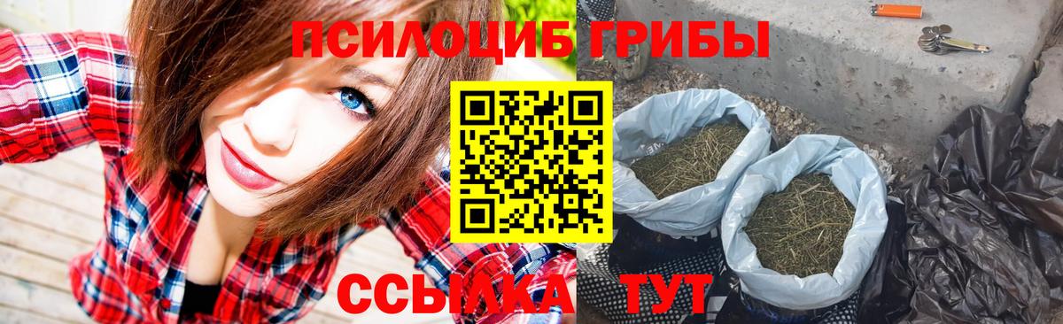Галлюциногенные грибы Psilocybine cubensis Алексин